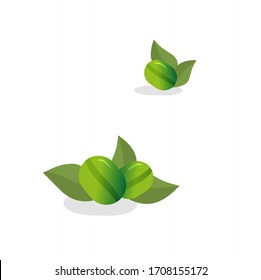  Stylized green coffee on a white background. Vector.