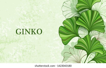 Stylized, green and contour, brown leaves of Ginkgo biloba on green, textured, paper background.  Ginkgo biloba.