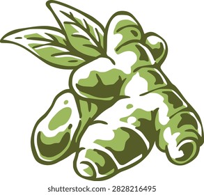 Stylized green ginger root with leafy sprig, knobby rhizomes