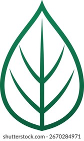Una hoja verde estilizada con una vena central y vetas ramificadas, presentada como un gráfico limpio y minimalista.
