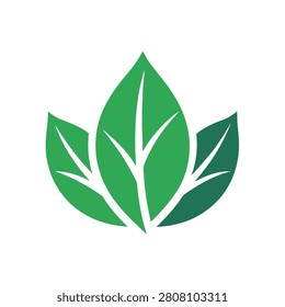 Stylized green leaf featuring three overlapping leaves with white veins on a plain white background