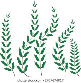Stylized Green Leafy Branches Collection for Botanical Designs