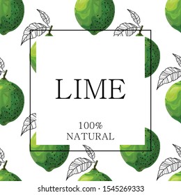 Stylized green lime with leaves on a white background and with the text "lime 100% natural". Banner, poster, wrapping paper, sticker, print, modern textile design. Vector illustration. 