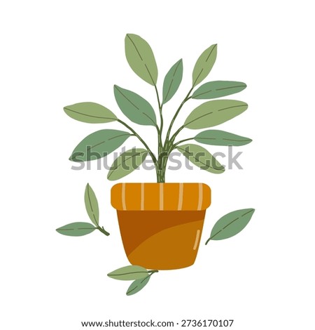 Stylized green plant in a clay pot, Beautiful botanical element in Italian style for home decoration and greeting cards.