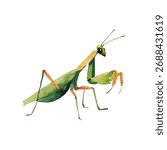 Stylized green praying mantis vector art in a beautiful watercolor style. Ideal for nature-themed designs, educational content, or decorative elements.