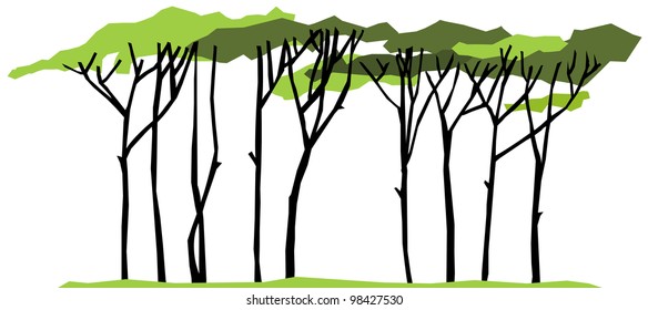 Stylized green trees for design. Vector illustration