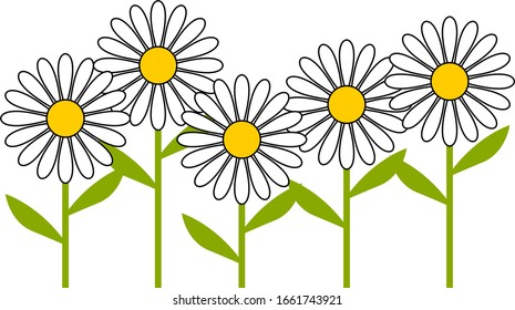 Stylized Group of Daisy Flowers. Vector Image.