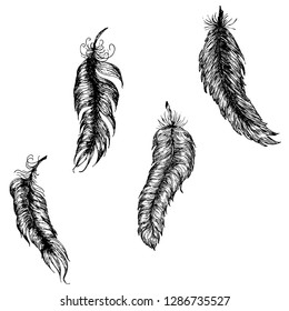Stylized grunge feathers silhouettes illustration on white.