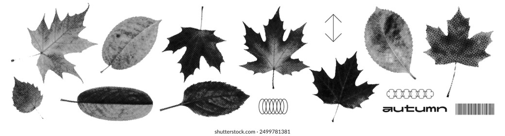 Stylized halftone dotted black on white leaves. Grunge autumn forest leaf stamps. Vector design elements.