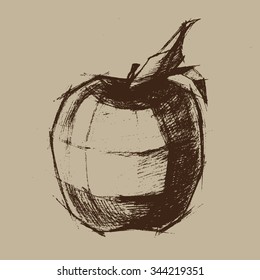 Stylized hand drawn apple. Vector sketch.