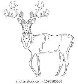 Stylized hand drawn deer portrait. Linear vector illustration isolated on white.