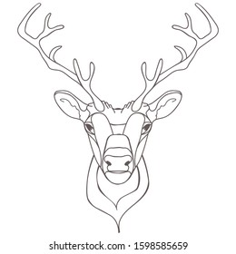 Stylized hand drawn deer portrait. Linear vector illustration isolated on white.