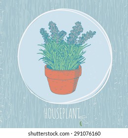 stylized hand drawn vector houseplant in a pot