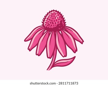 A stylized, hand-drawn vector illustration of a purple coneflower (Echinacea) featuring a prominent, textured central cone and drooping, vibrant pink petals.