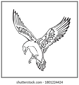 Stylized hawk engraving. Decorative bird. Vector line drawing. Flying eagle. Stencil art. Linear logo kite