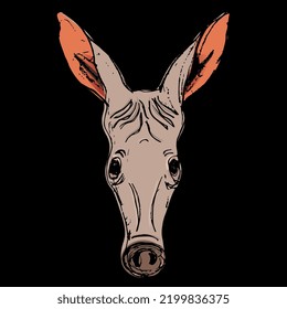 Stylized head of an Aardvark. Orycteropus afer. Animal mask. Hand drawn colorful doodle sketch. On black background.