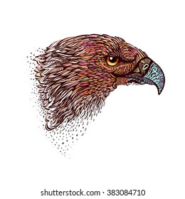 Stylized Head of Eagle. Hand Drawn Doodle Illustration in Color on White