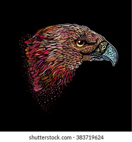 Stylized Head of Eagle. Hand Drawn Doodle Illustration in Color on Black