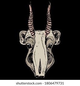 Stylized head of Saiga antelope. (Saiga tatarica). Hand drawn colorful doodle sketch.
