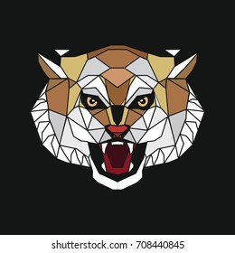 Stylized head of a tiger. The tiger growls. Structural image. construction and filled image. on a black background