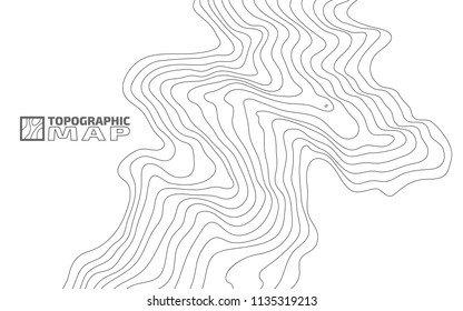 The stylized height of the topographic contour in lines and contours. The concept of a conditional geography scheme and the terrain path. Vector illustration.
