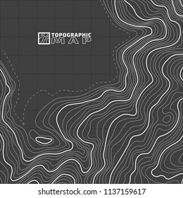 The stylized height of the topographic contour in lines and contours. The concept of a conditional geography scheme and the terrain path. Vector illustration.