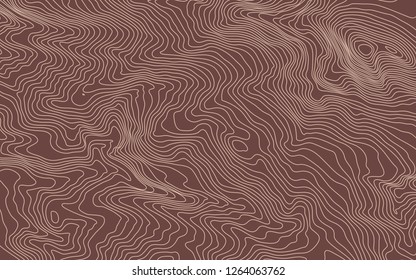 The stylized height of the topographic contour in lines and contours. The concept of a conditional geography scheme and the terrain path. Vector illustration.