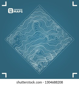 The stylized height of the topographic contour in lines and contours. The concept of a conditional geography scheme and the terrain path. Vector illustration.
