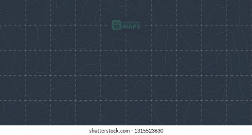 The stylized height of the topographic contour in lines and contours. The concept of a conditional geography scheme and the terrain path. Vector illustration.