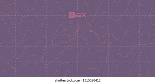 The stylized height of the topographic contour in lines and contours. The concept of a conditional geography scheme and the terrain path. Vector illustration.