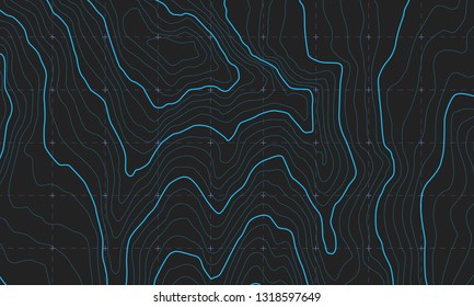 The stylized height of the topographic contour in lines and contours. The concept of a conditional geography scheme and the terrain path. Vector illustration.