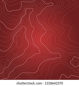 The stylized height of the topographic contour in lines and contours. The concept of a conditional geography scheme and the terrain path. Vector illustration.