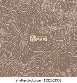 The stylized height of the topographic contour in lines and contours. The concept of a conditional geography scheme and the terrain path. Vector illustration.
