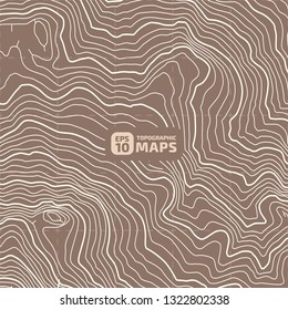 The stylized height of the topographic contour in lines and contours. The concept of a conditional geography scheme and the terrain path. Vector illustration.