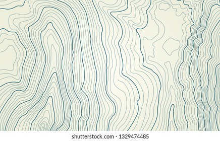 The stylized height of the topographic contour in lines and contours. The concept of a conditional geography scheme and the terrain path. Vector illustration.