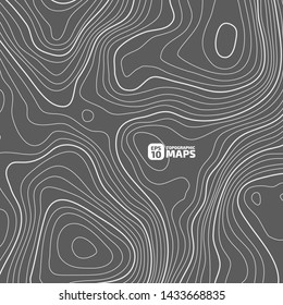 The stylized height of the topographic contour in lines and contours. The concept of a conditional geography scheme and the terrain path. Vector illustration.