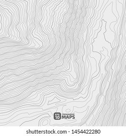 The stylized height of the topographic contour in lines and contours. The concept of a conditional geography scheme and the terrain path. Vector illustration.