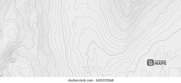 Stylized height of a topographic contour in lines and contours. Concept of a conditional geography scheme and the terrain path. Vector illustration.