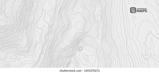 Stylized height of a topographic contour in lines and contours. Concept of a conditional geography scheme and the terrain path. Vector illustration.