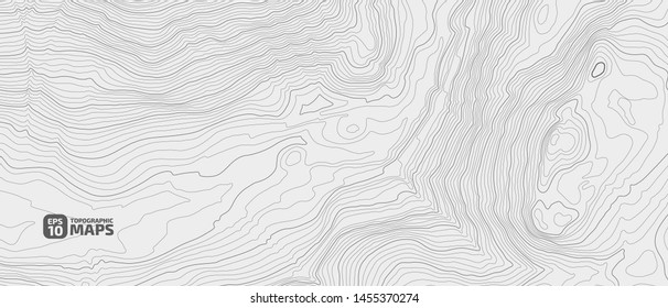 Stylized height of a topographic contour in lines and contours. Concept of a conditional geography scheme and the terrain path. Vector illustration.