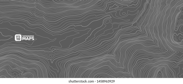 Stylized height of a topographic contour in lines and contours. Concept of a conditional geography scheme and the terrain path. Vector illustration.