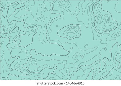 The stylized height of the topographic contour in lines and contours. The concept of a conditional geography scheme and the terrain path. Vector illustration. blue background. 