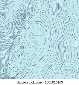 The stylized height of the topographic contour in lines and contours. The concept of a conditional geography scheme and the terrain path. Vector illustration.