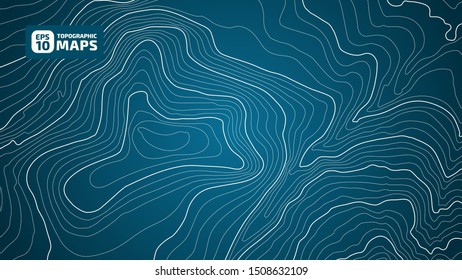 The stylized height of the topographic contour in lines and contours. The concept of a conditional geography scheme and the terrain path. Vector illustration