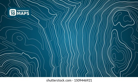 The stylized height of the topographic contour in lines and contours. The concept of a conditional geography scheme and the terrain path. Vector illustration