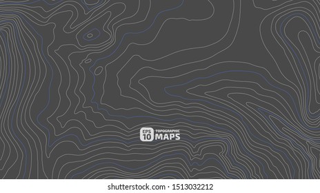 The stylized height of the topographic contour in lines and contours. The concept of a conditional geography scheme and the terrain path. Vector illustration.