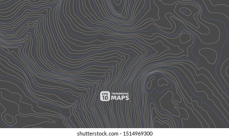 The stylized height of the topographic contour in lines and contours. The concept of a conditional geography scheme and the terrain path. Vector illustration.