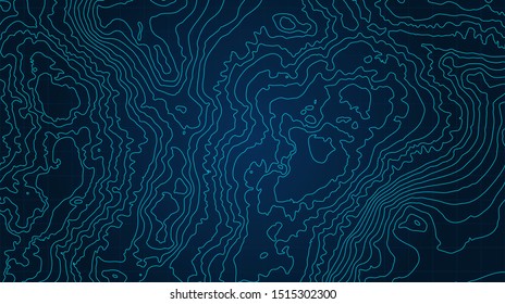 The stylized height of the topographic contour in lines and contours. The concept of a conditional geography scheme and the terrain path. Vector illustration.