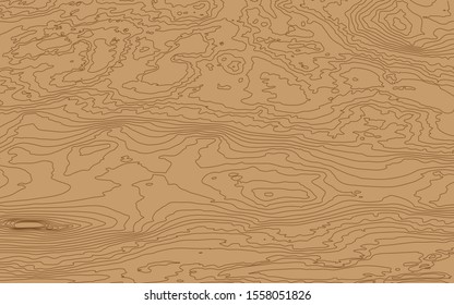 The stylized height of the topographic contour in lines and contours. The concept of a conditional geography scheme and the terrain path. Vector illustration.