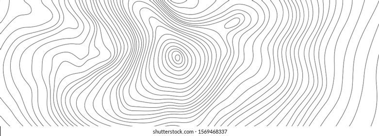 The stylized height of the topographic contour in lines. The concept of a conditional geography scheme and the terrain path. Black & White. Ultra wide size. Vector illustration.